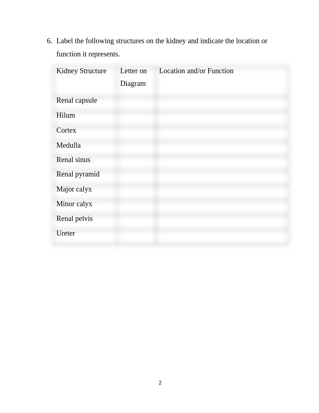 Chapter 16 Urinary System Worksheet(1).docx_driraahjliu_page2