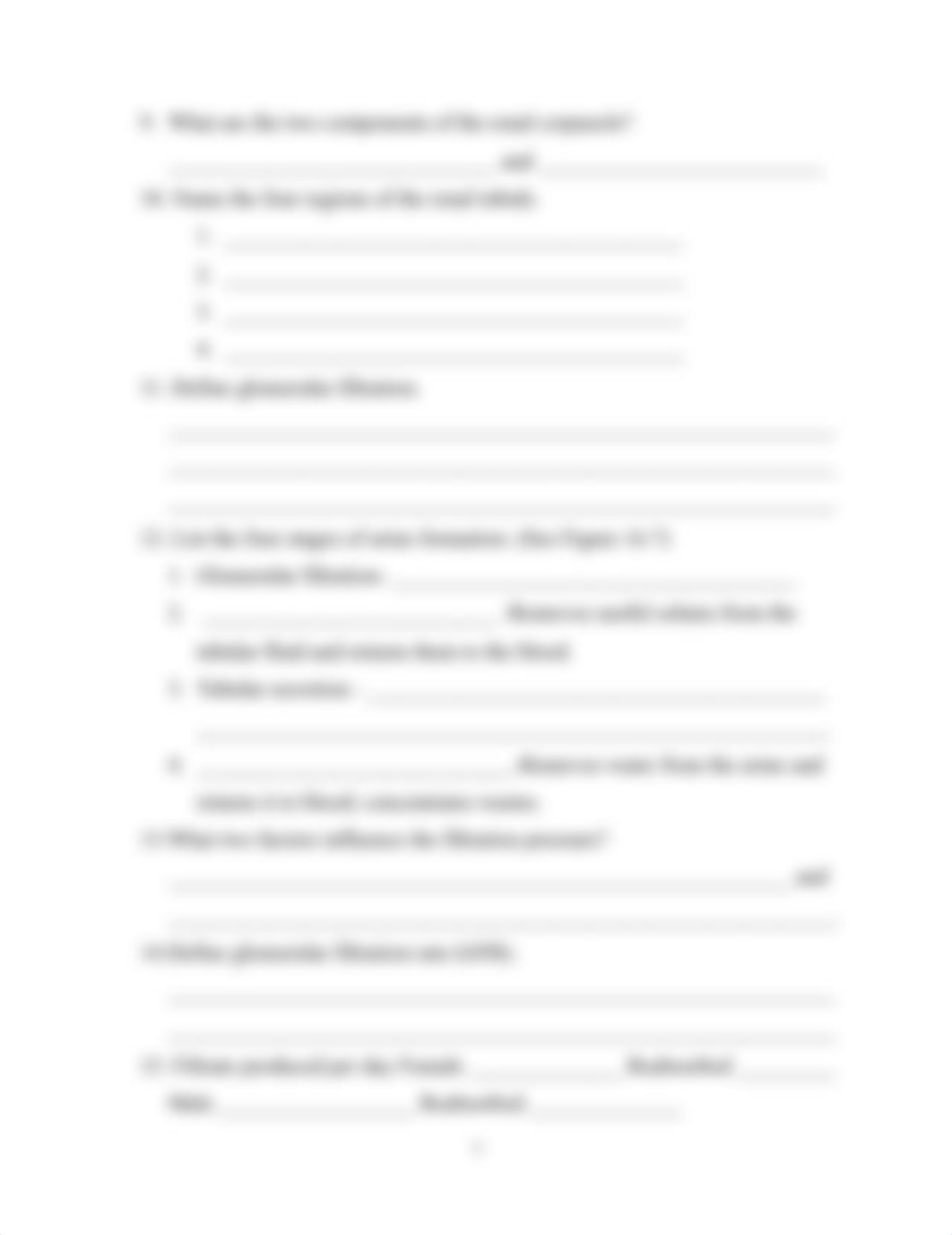 Chapter 16 Urinary System Worksheet(1).docx_driraahjliu_page5