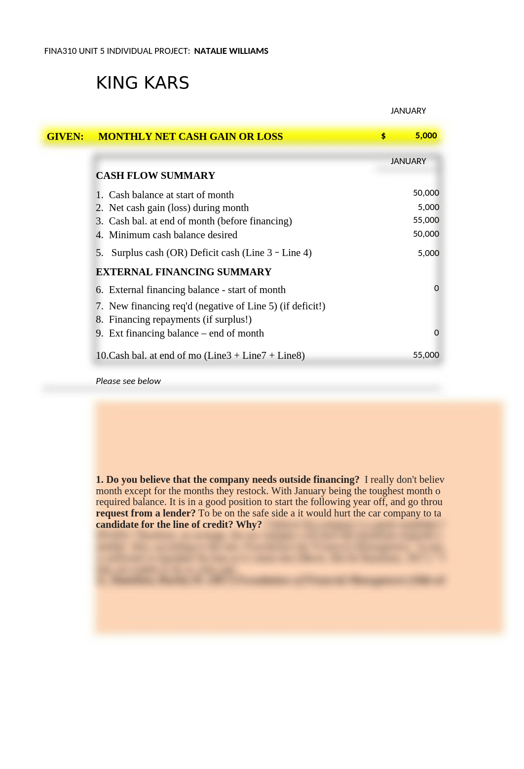 FINA310_Unit 5_IP Natalie Williams.xlsx_drirx1odrim_page1