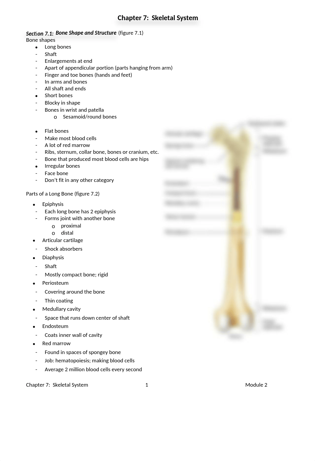 Chapter 7  Outline .docx_drivnbsvk41_page1