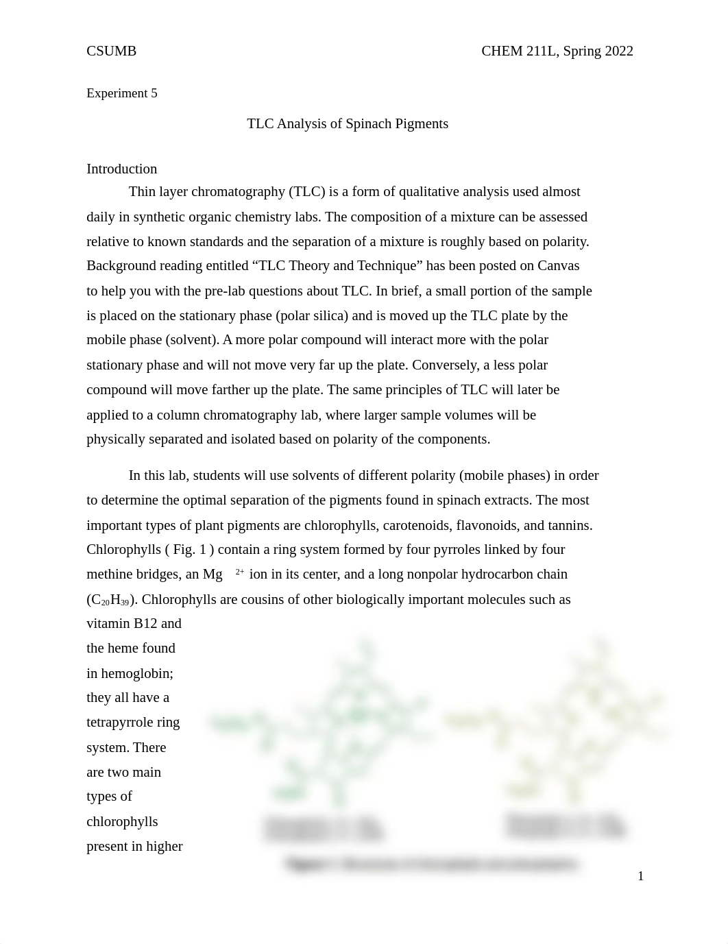 Experiment 5.docx_drivtrrejbf_page1