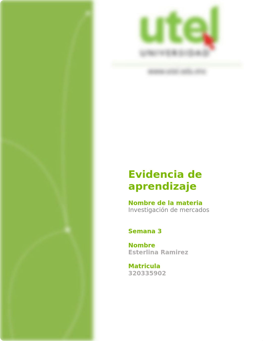 Investigación de mercados_Semana 3_P.doc_drixi48jwh1_page1