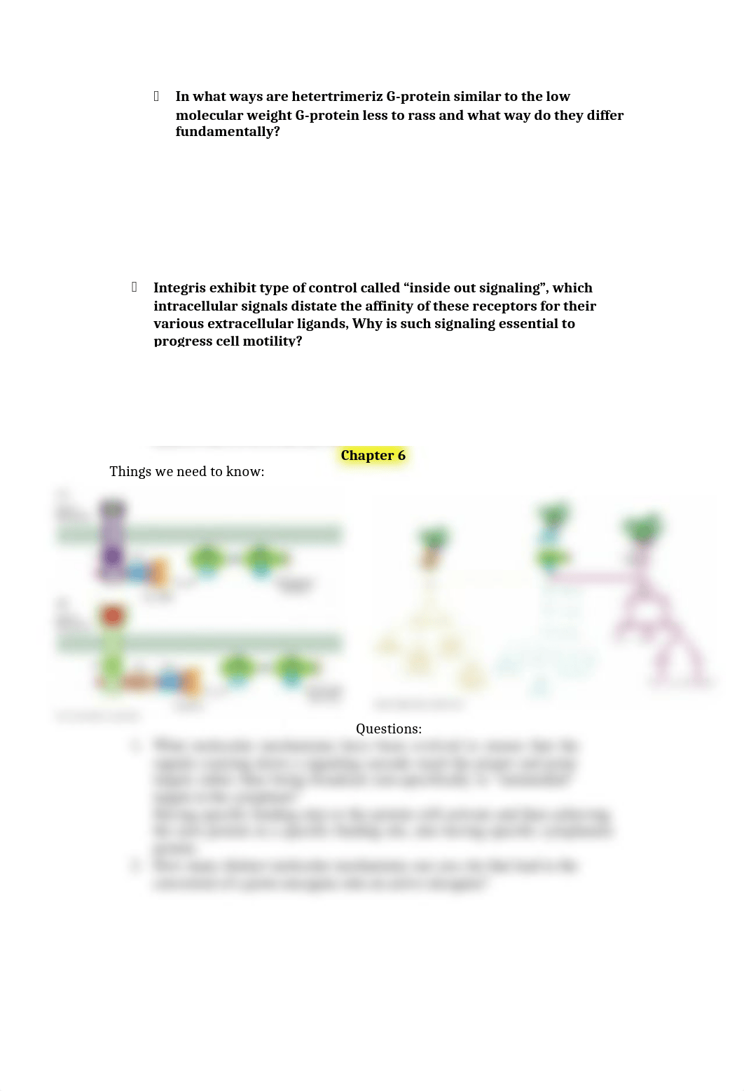 ch questions- exam 2_drj0akzmoow_page2