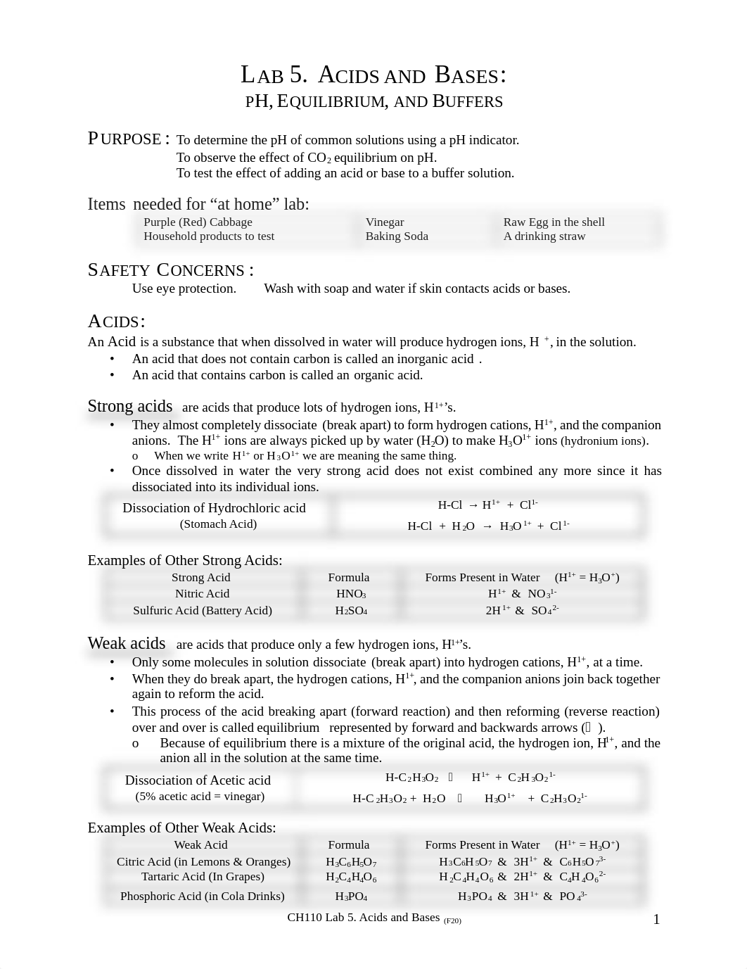 5 CH110 Lab 5 Acids and Bases F20 (3).pdf_drj1mgvz5nu_page1