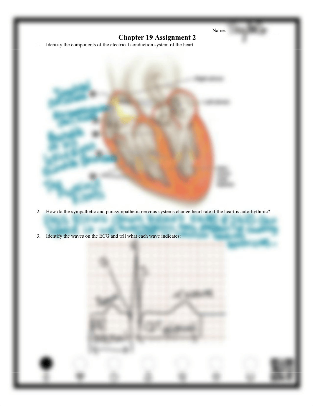 Chapter 19 Assignment 2.pdf_drj5rk9lnhx_page1