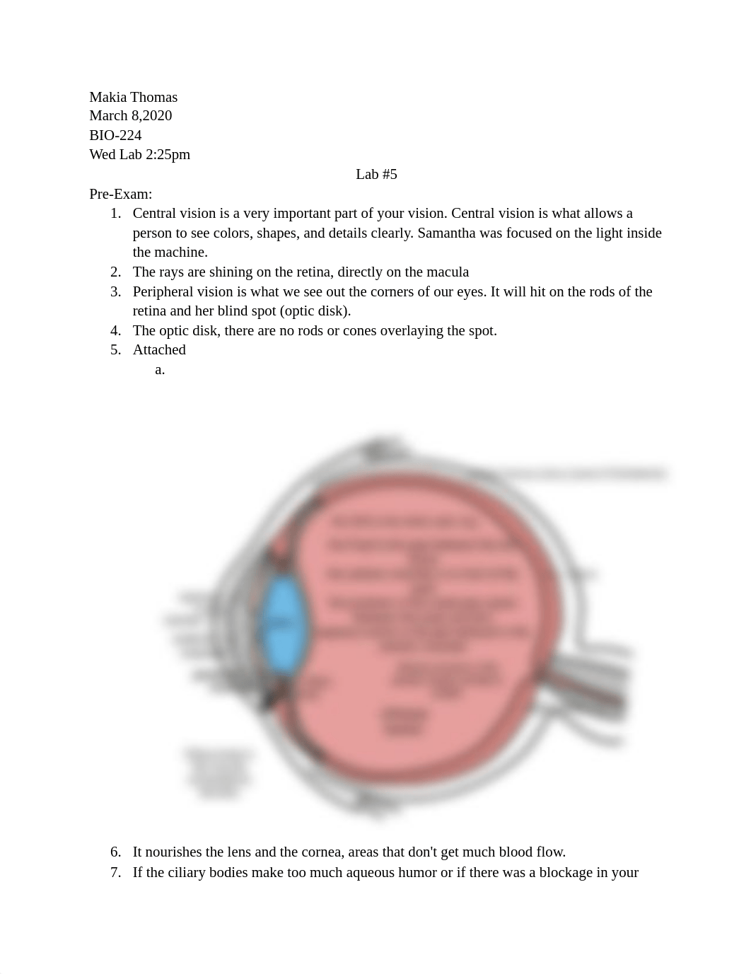 Wed lab #5.docx_drjcov6v52k_page1