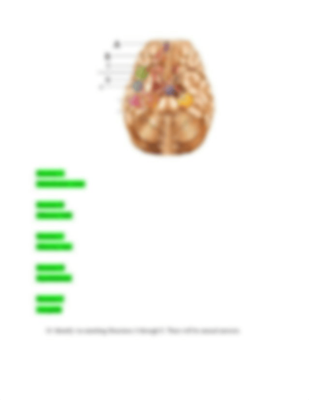 BIO 201 L Final Practice.pdf_drje3ziadeg_page5