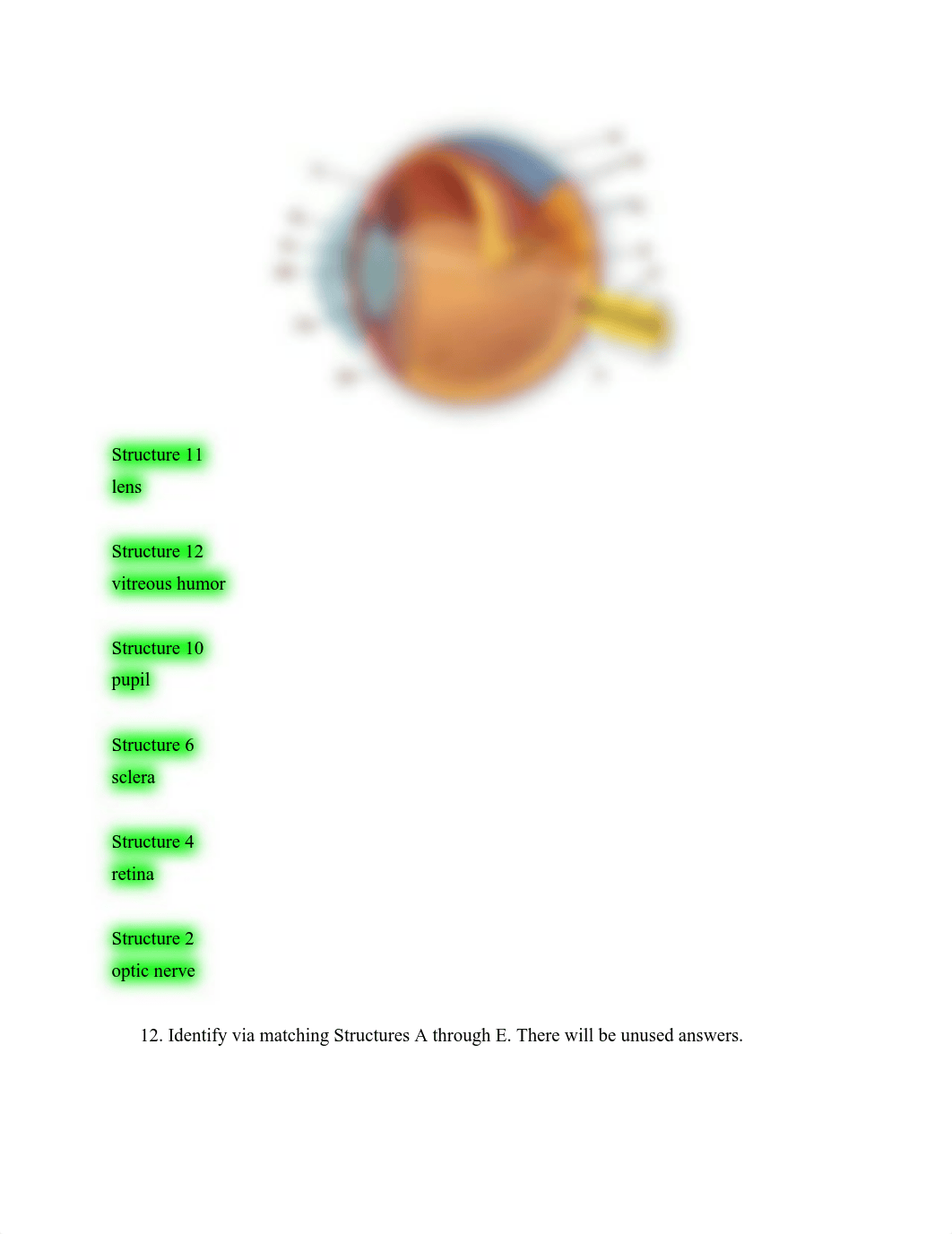 BIO 201 L Final Practice.pdf_drje3ziadeg_page3