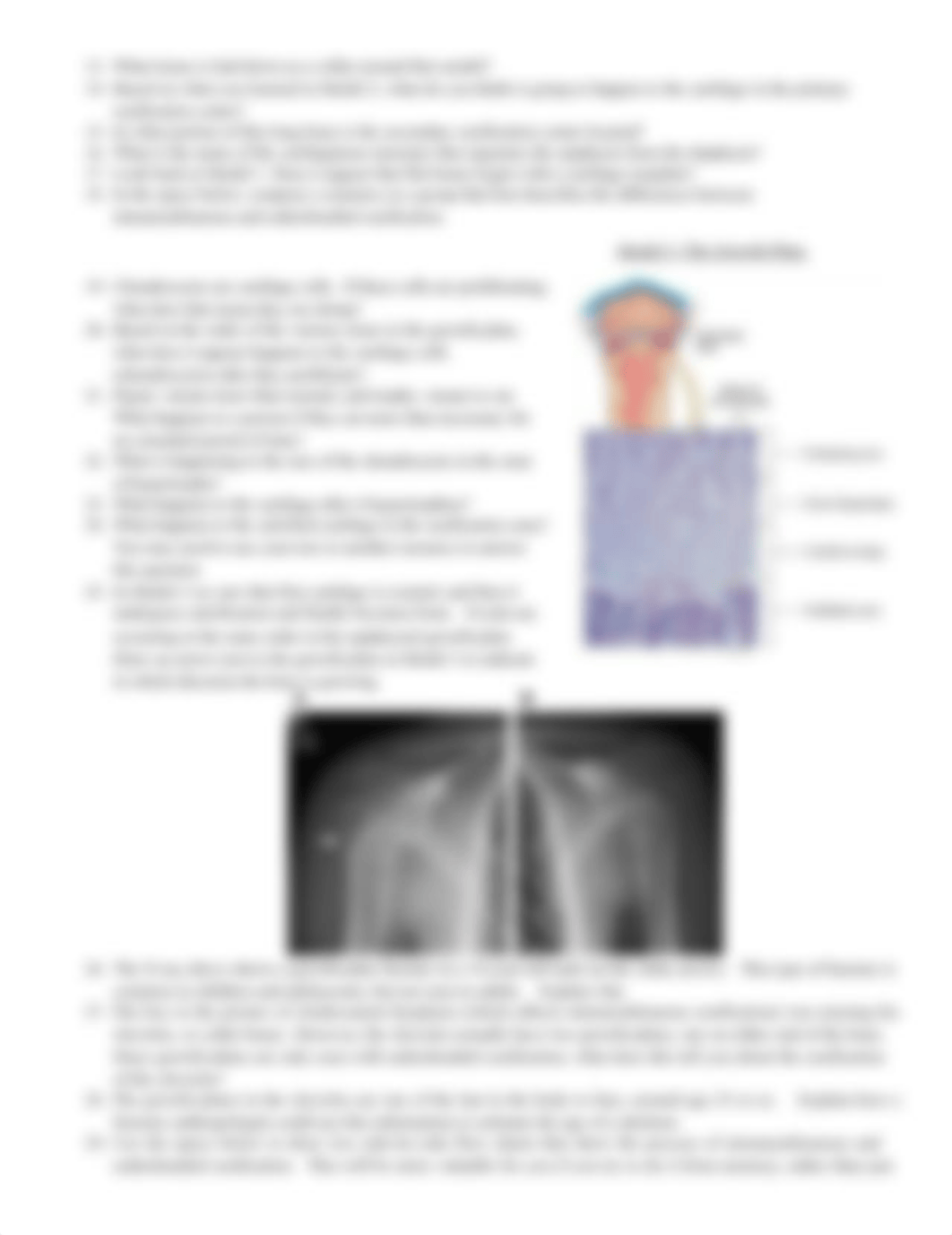 Ossification.docx_drjf899keby_page2