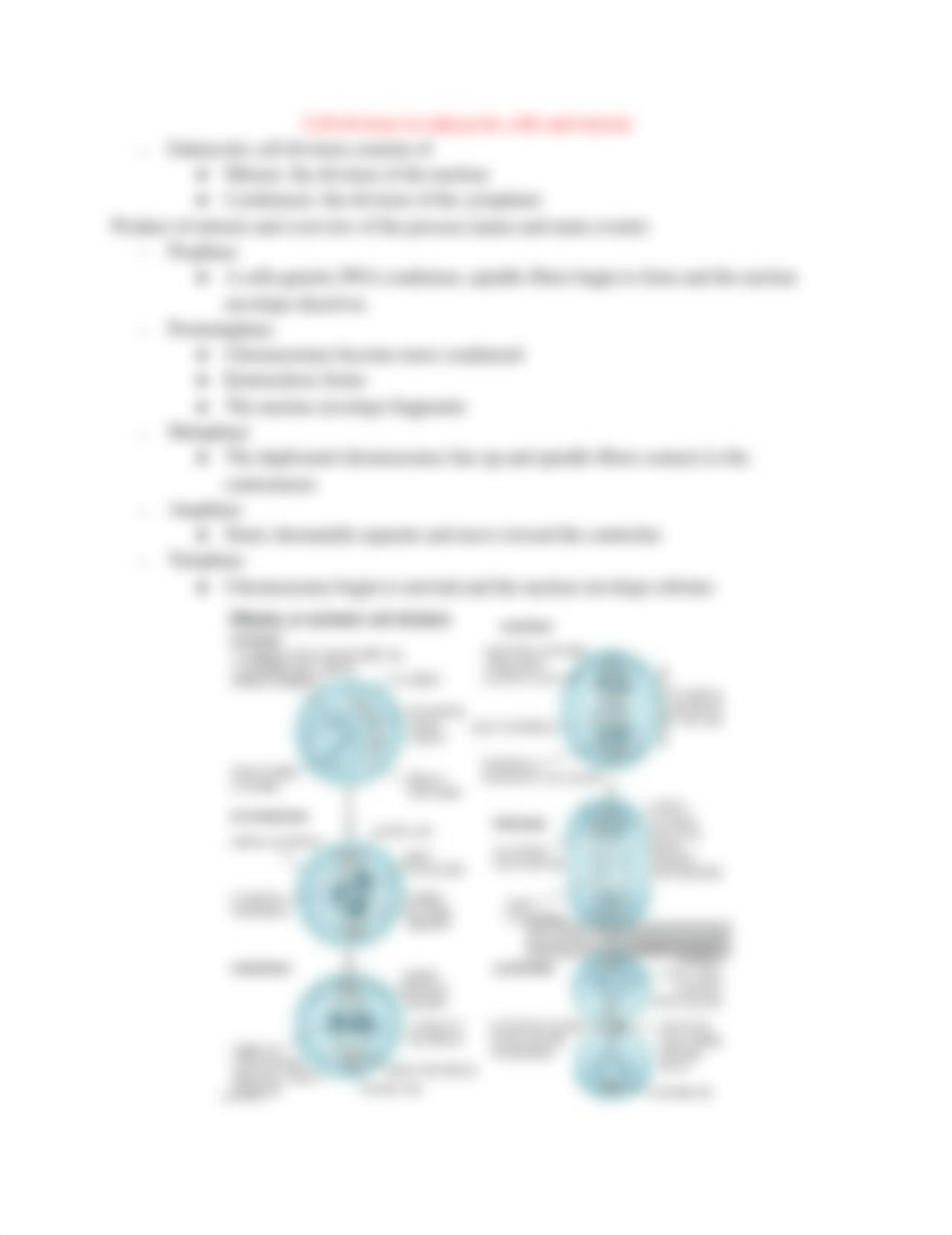 BIO 211 Exam 3 Study Guide-2.pdf_drjfvdcin0x_page4