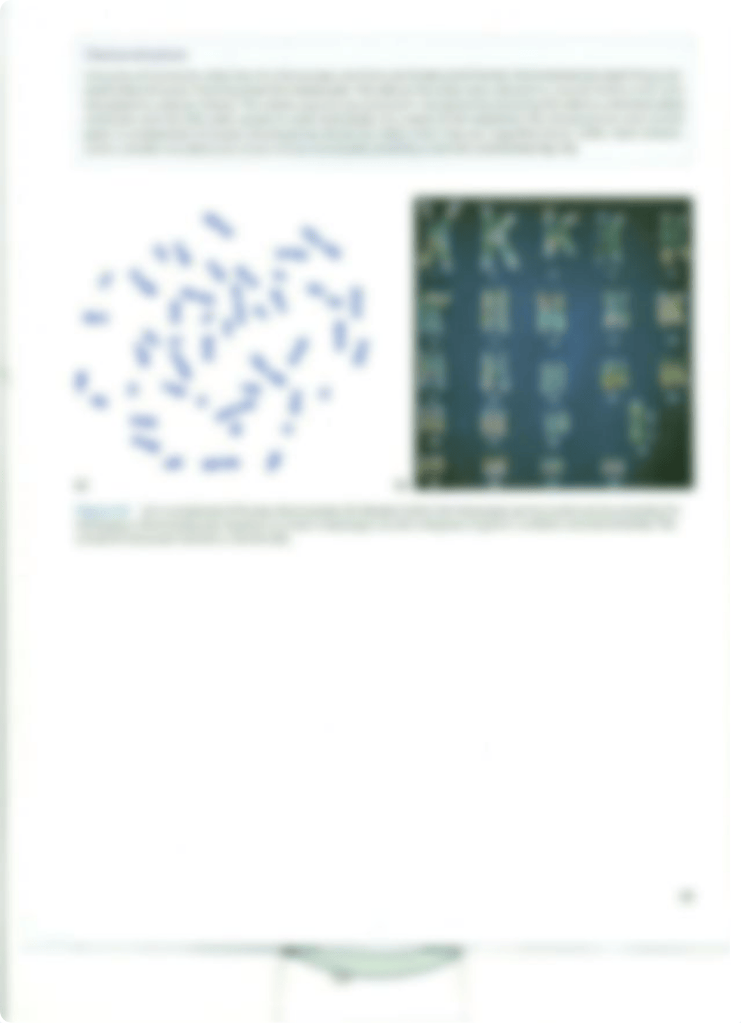 Chapter 4 Cell Cycle_drjh4teuak3_page5