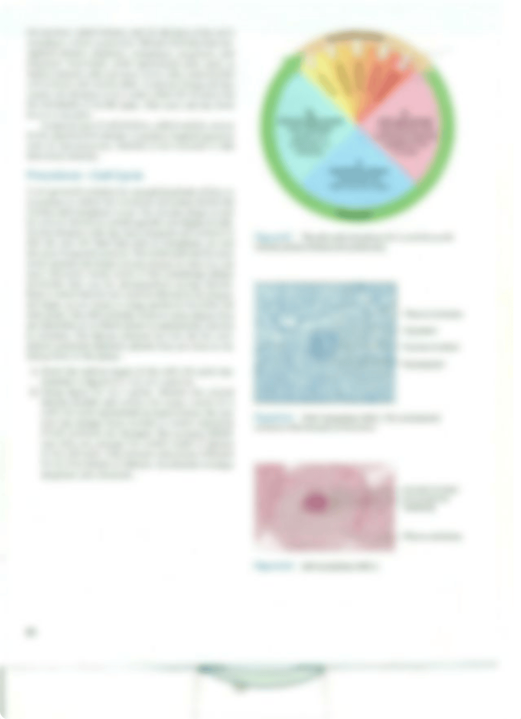 Chapter 4 Cell Cycle_drjh4teuak3_page2