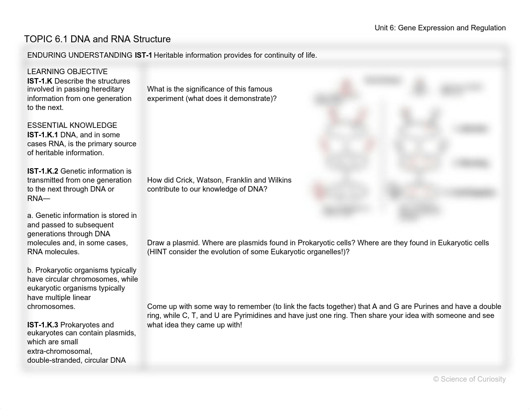 Unit 6_ Gene Expression and Regulation Review.pdf_drjiqmrwzjx_page1