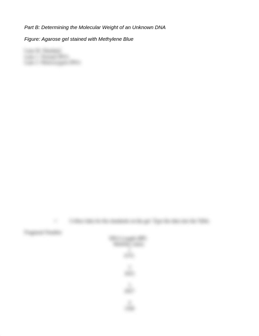 Assignment 2 - Graphing Protein and DNA standard curve.docx_drk316h5z8s_page4