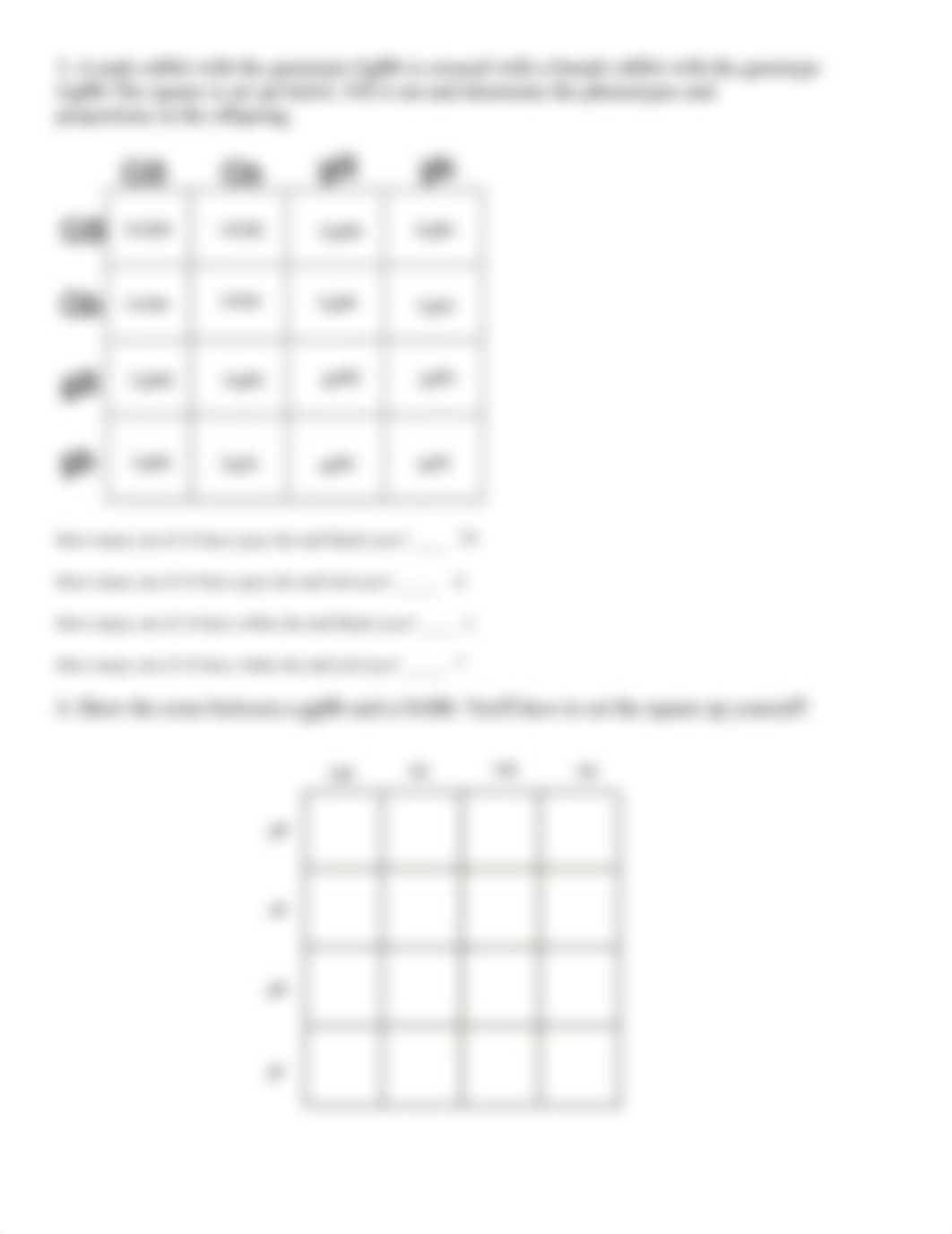 Genetic Crosses that Involve 2 Traits.pdf_drk943q0nd3_page2