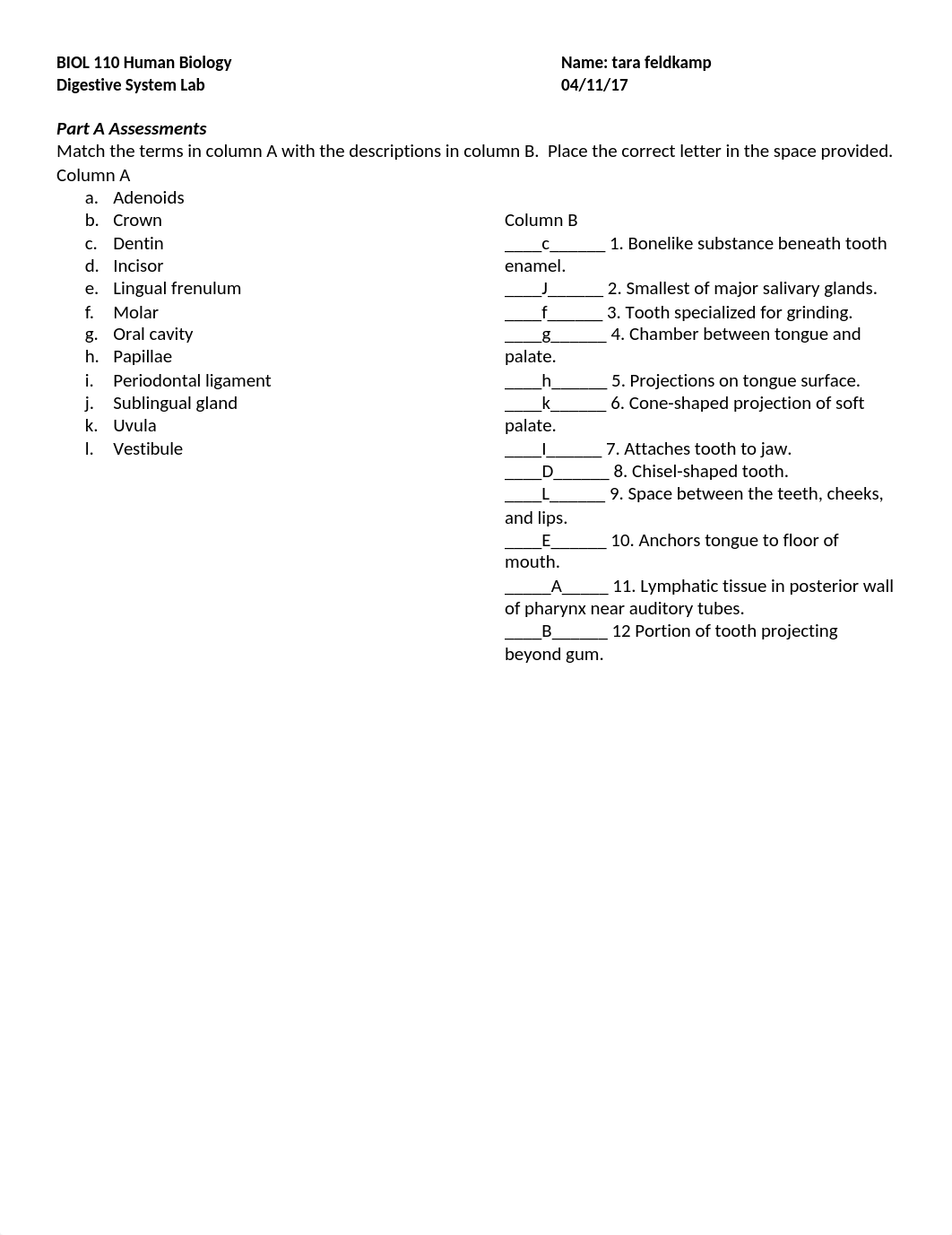 Digestive System Lab.docx_drkdhkiqjcl_page1