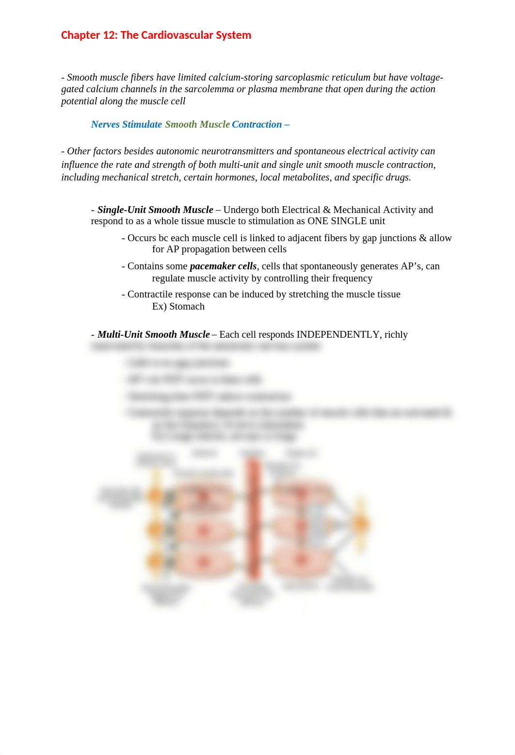 Chapter 12- The Cardiovascular System .docx_drkdyho1me2_page3