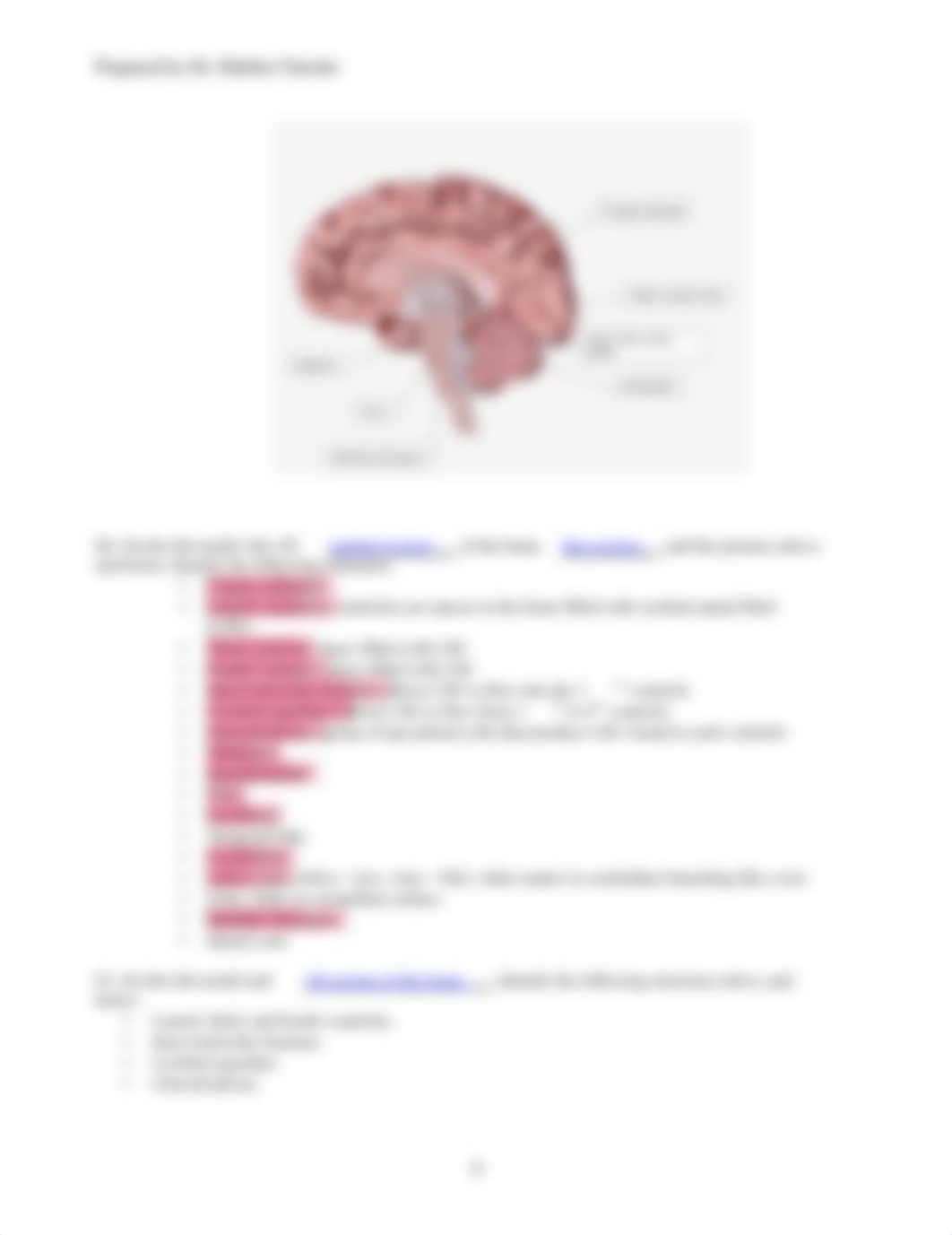 LAB 6 Brain & Spinal cord (1).pdf_drkf6b8ui4q_page4