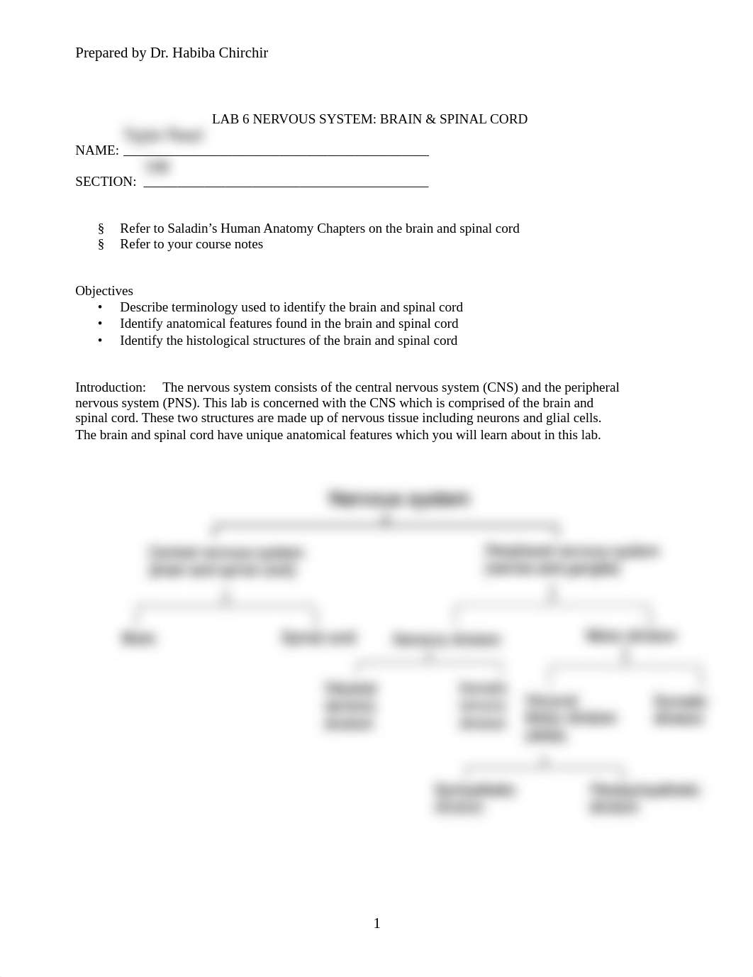 LAB 6 Brain & Spinal cord (1).pdf_drkf6b8ui4q_page1