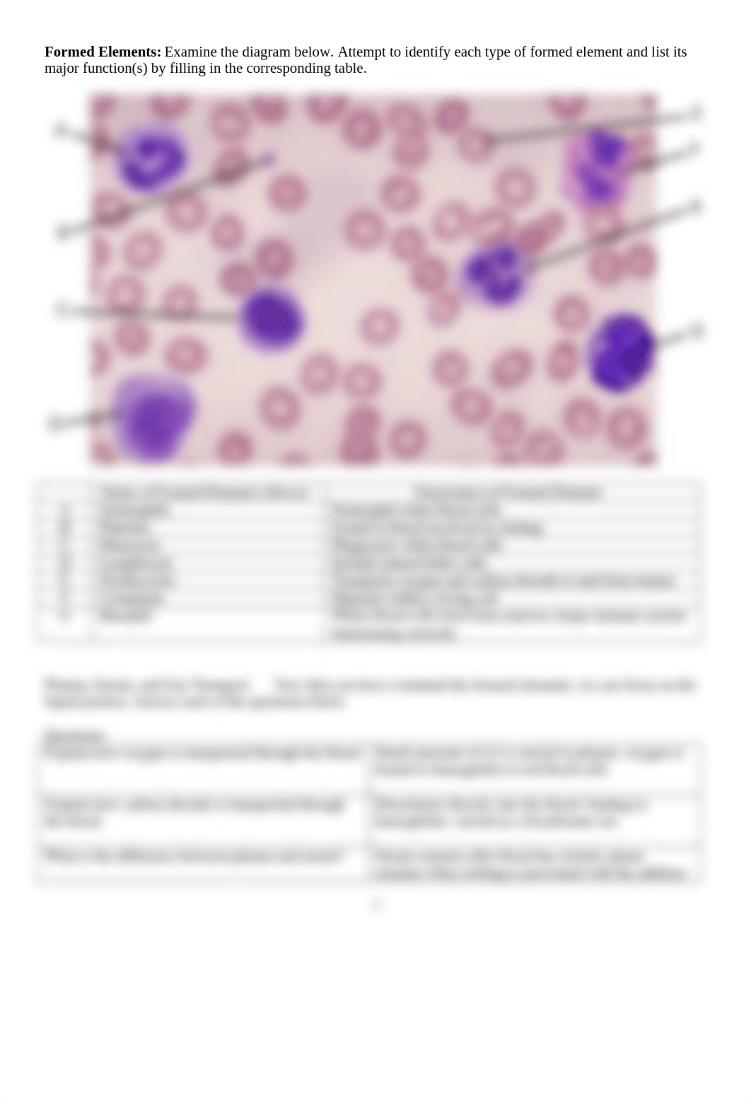 Lab 10 Blood, Lymphatic, & Immune Systems(1).docx_drkf7ivkf9a_page2