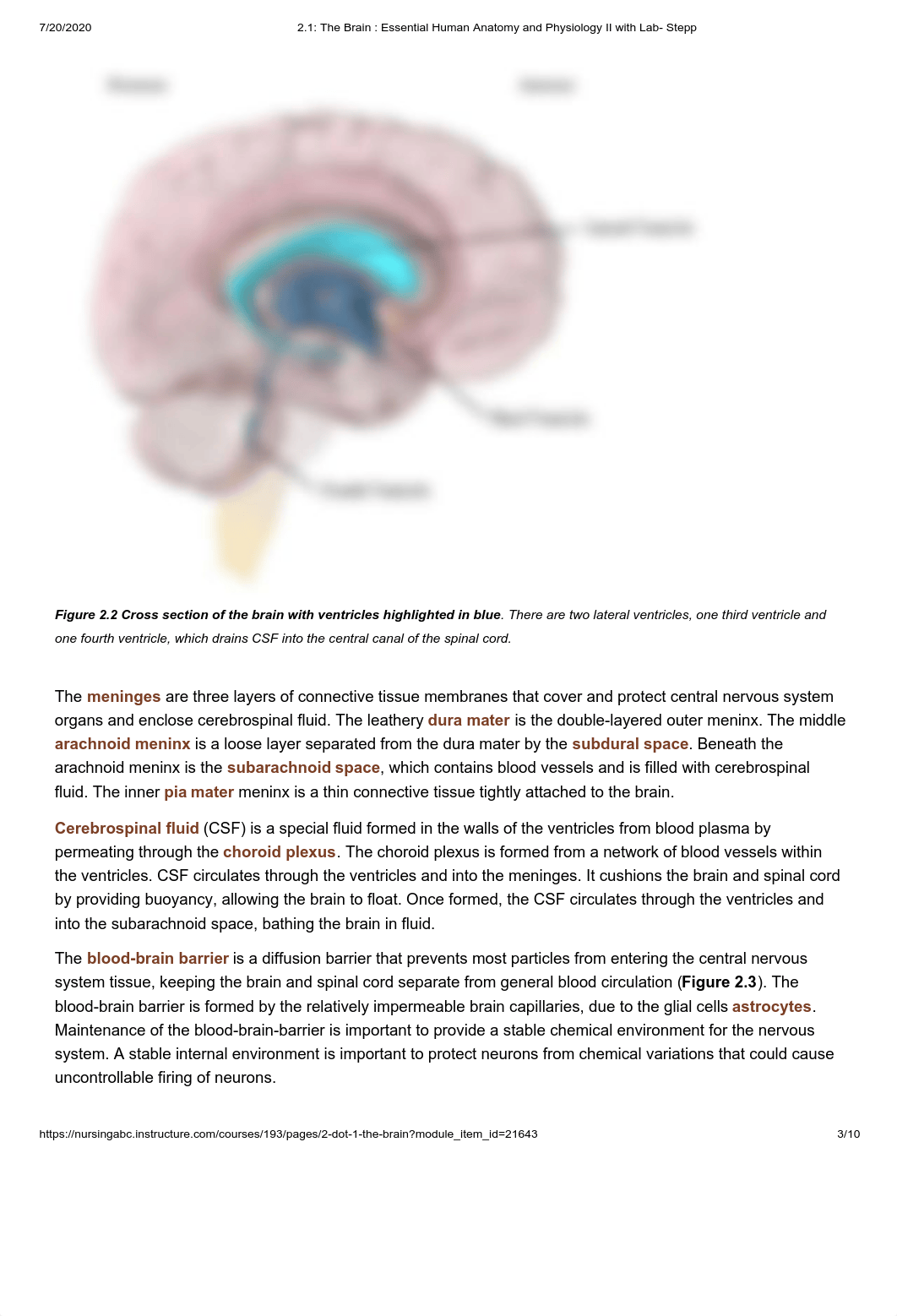 Module 2 - Complete.pdf_drkjh5gh4ca_page3