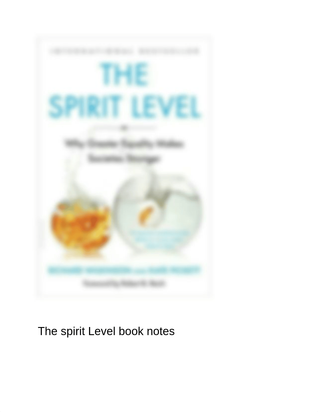 The spirit Level book notes jessie raycraft.docx_drkpl3x6ned_page1