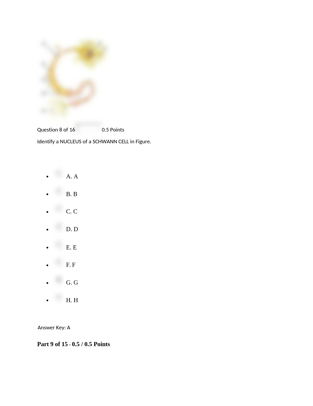 5.1 Quiz_chapter 12.docx_drl4480fw6k_page5