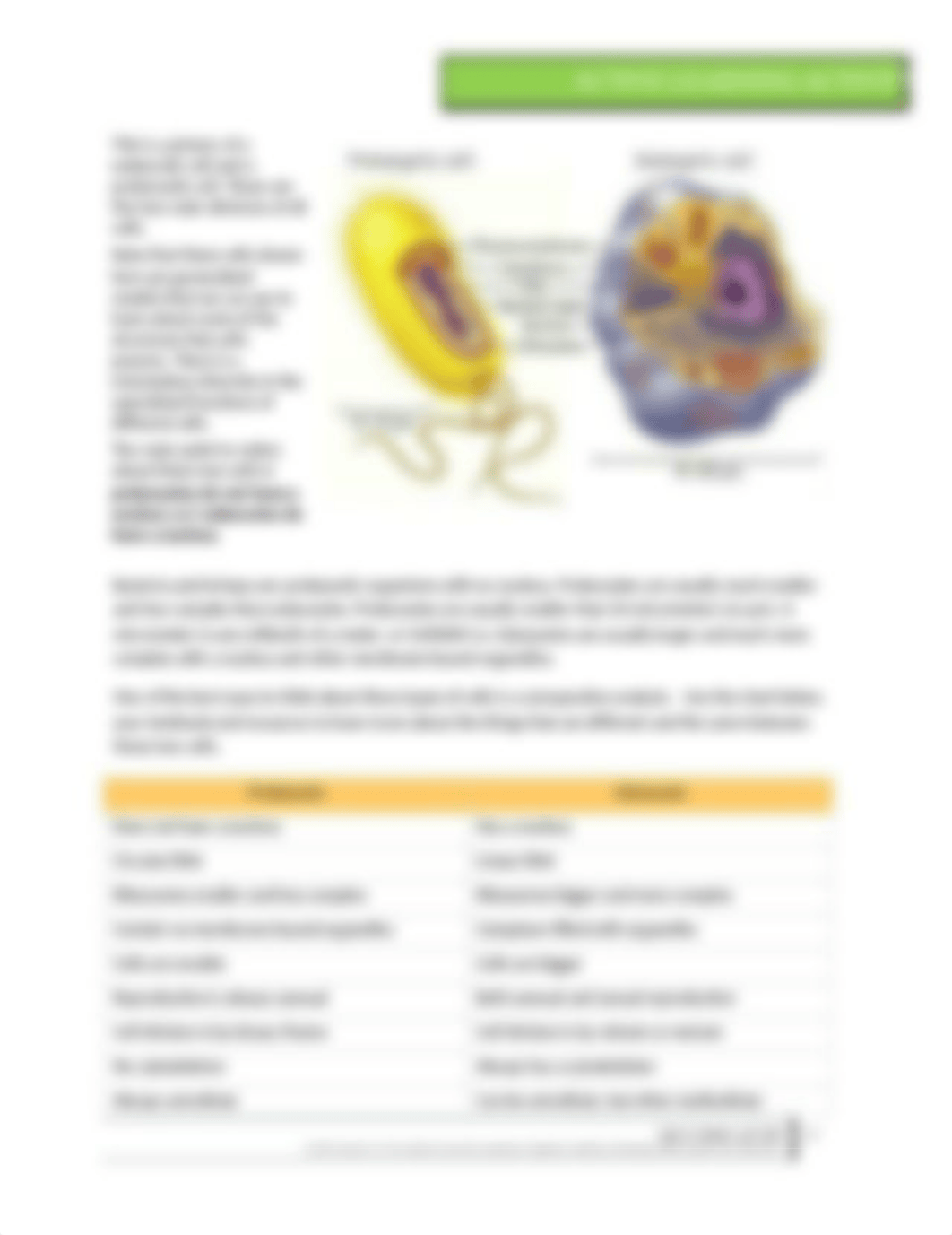 ALA Life is made of cells.docx_drla117sqvq_page3