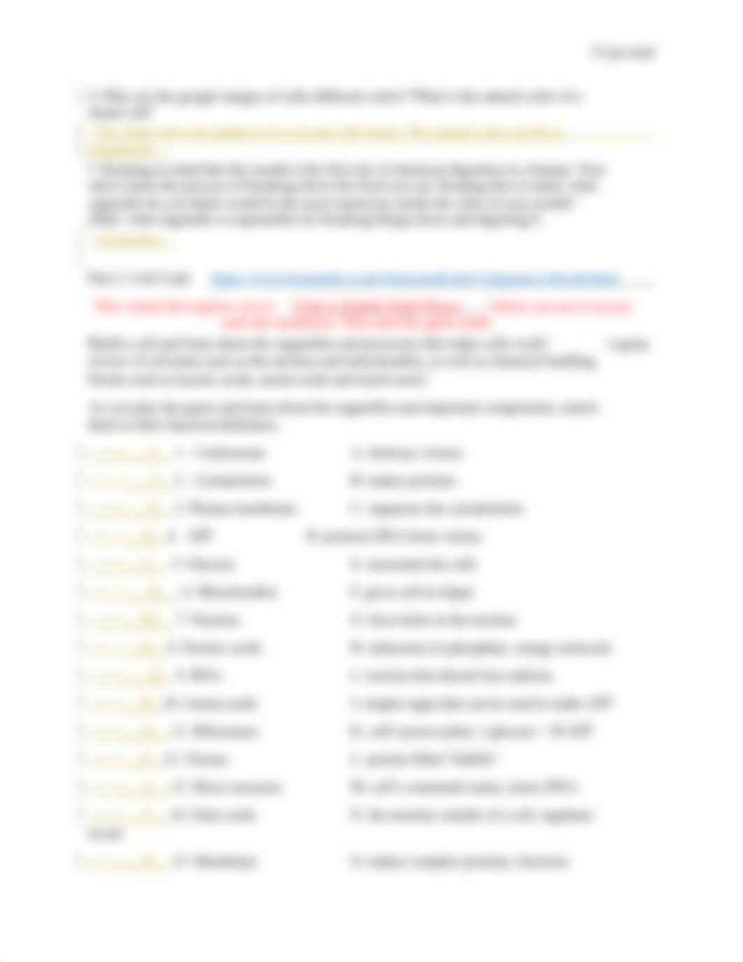 Online Lab 5 The Cell and Cell Transport (carlys).docx_drldzvan2k4_page3