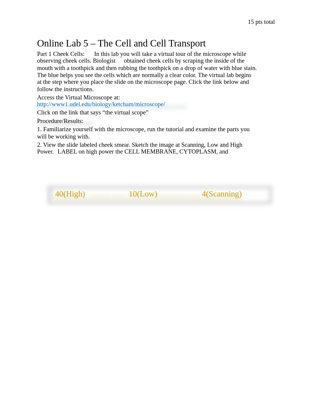Online Lab 5 The Cell and Cell Transport (carlys).docx_drldzvan2k4_page1
