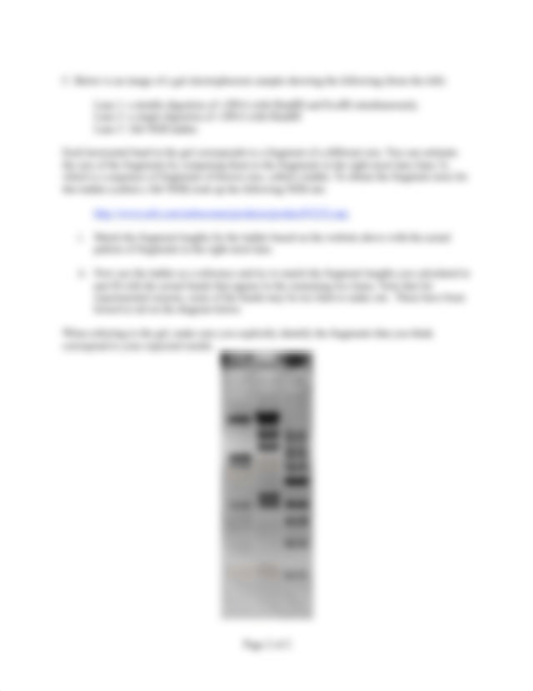 Bi1X_2009_Week4_prelab_Restriction_enzymes_drlgo20atwp_page2