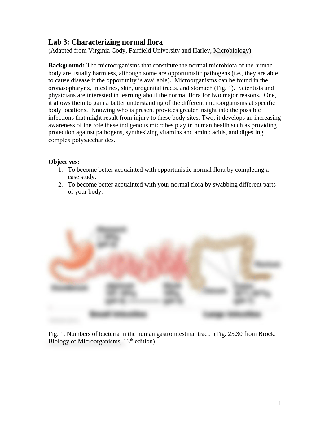 Lab 3 Characterizing normal flora_drlu7fsbb9i_page1