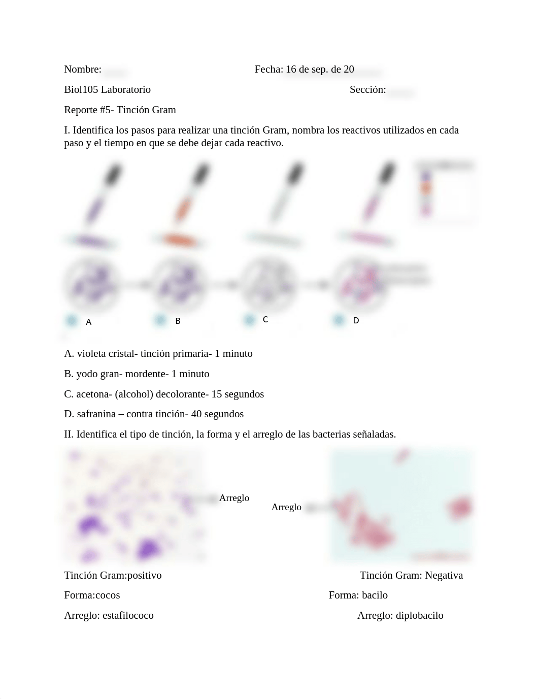 Reporte #5 Tincion GRAM Fa-20.docx_drm5tblgyxz_page1