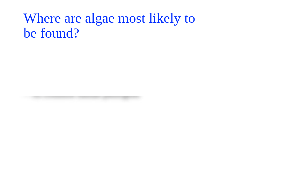 chap1questions.pptx_drm8r7gneak_page4