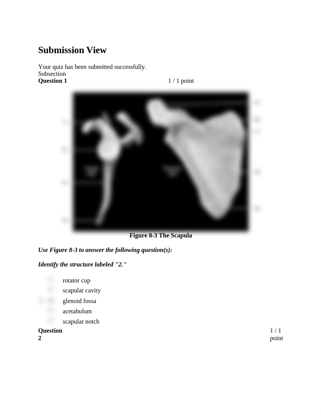 Appendicular Skeleton 8-4_drmatek2hac_page1