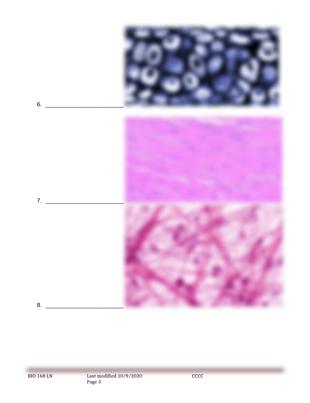 Rest of Tissues Lab.docx_drmctxz737k_page3