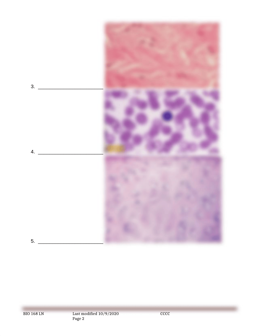 Rest of Tissues Lab.docx_drmctxz737k_page2