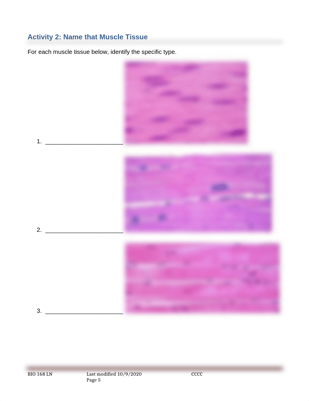 Rest of Tissues Lab.docx_drmctxz737k_page5