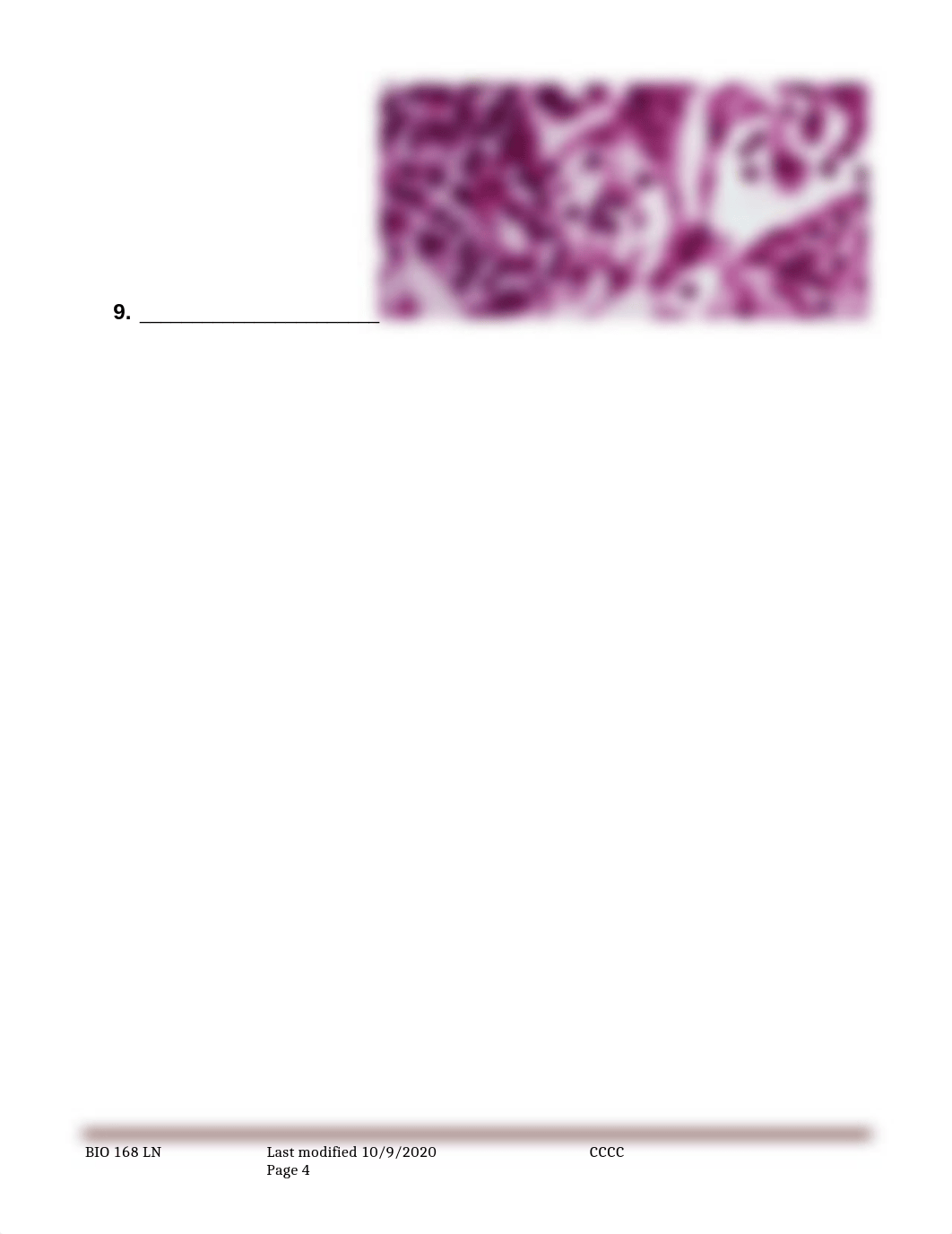 Rest of Tissues Lab.docx_drmctxz737k_page4