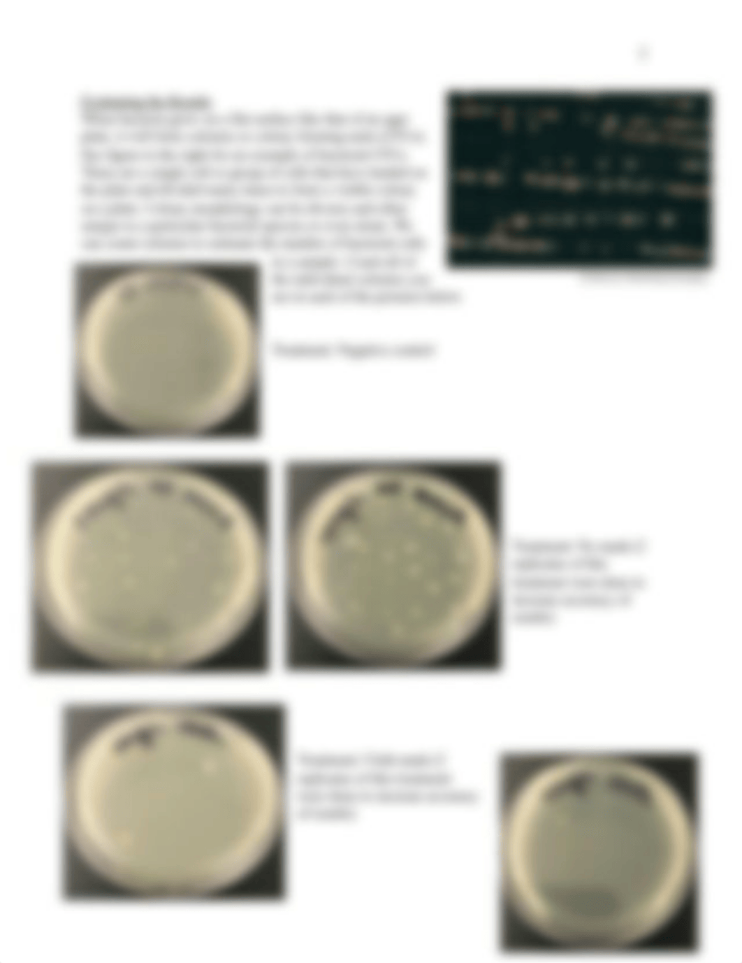 Week 6 - Alternative Online Microbiology Assignment.docx_drmkl6n3id6_page2