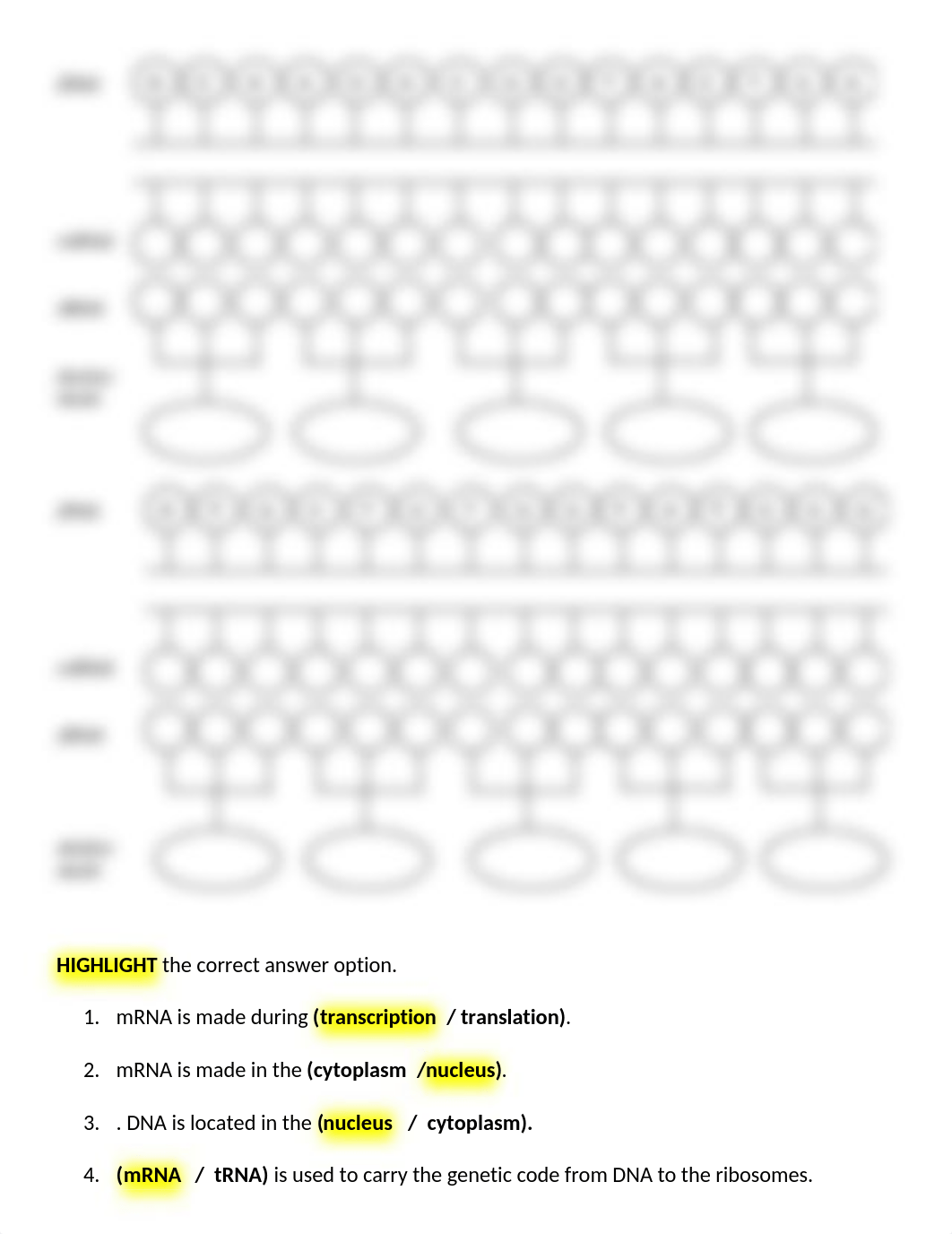 BIO 103 ~ AC Protein Synthesis.docx_drml2gp7qaa_page2