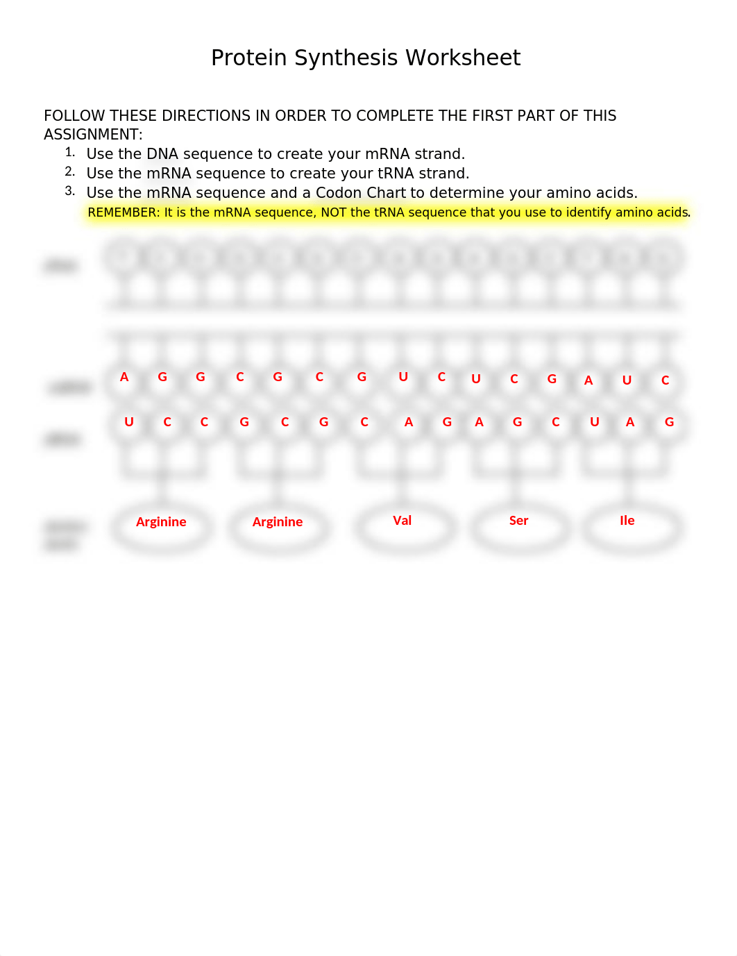 BIO 103 ~ AC Protein Synthesis.docx_drml2gp7qaa_page1