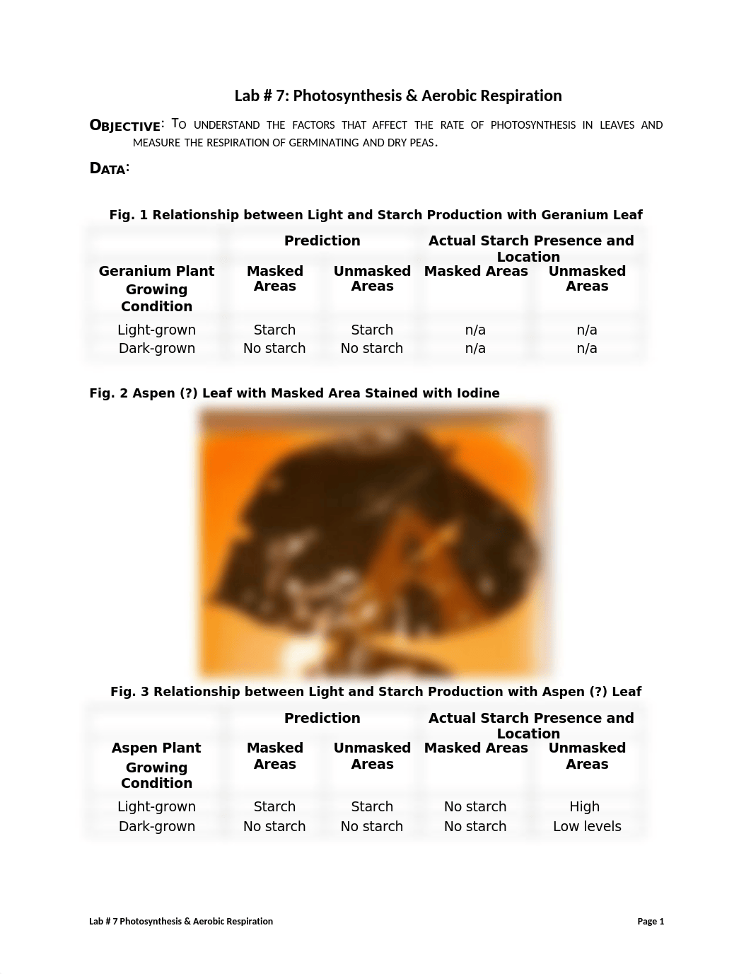 Post Lab 7 Photosynthesis Aerobic Respiration (2).doc_drmsecsbobr_page1