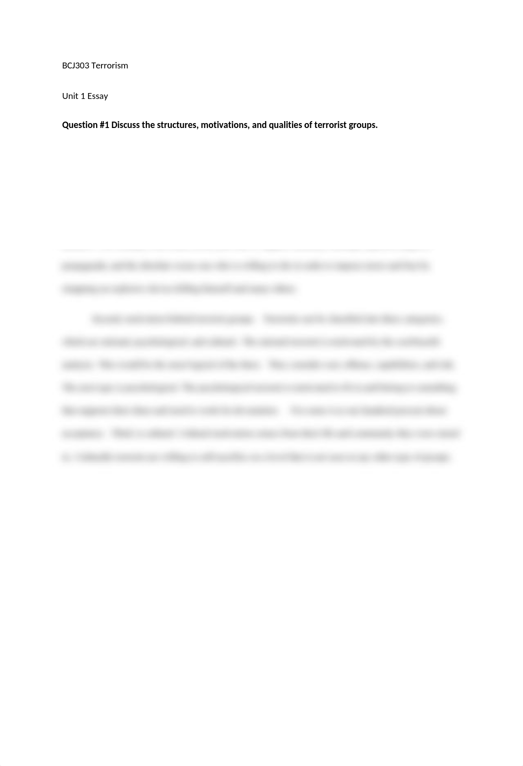 Terrorism Essay #1.docx_drmv8amdv0n_page1