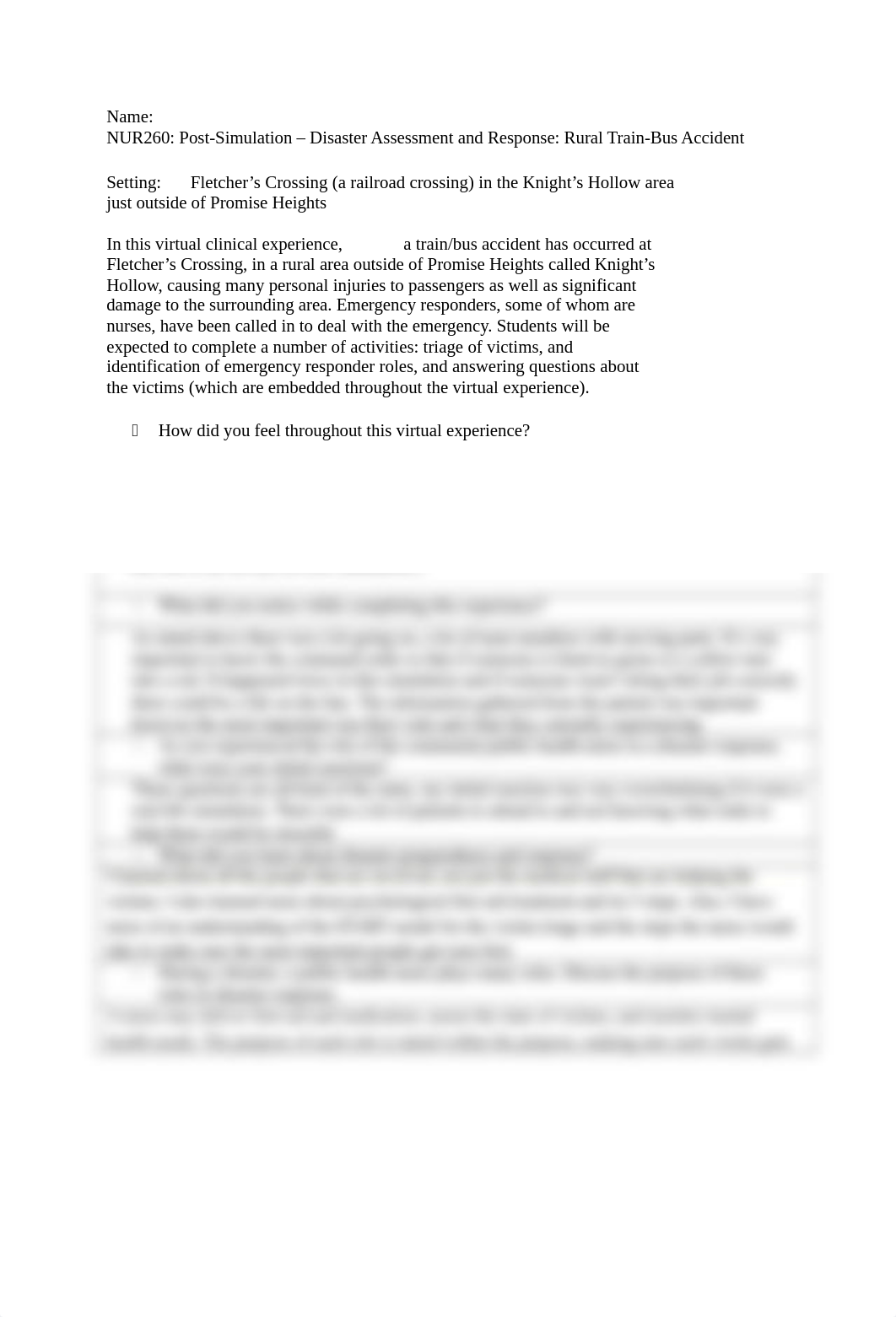 Disaster Assessment and Response  Post-Sim.docx_drmwv1995k4_page1