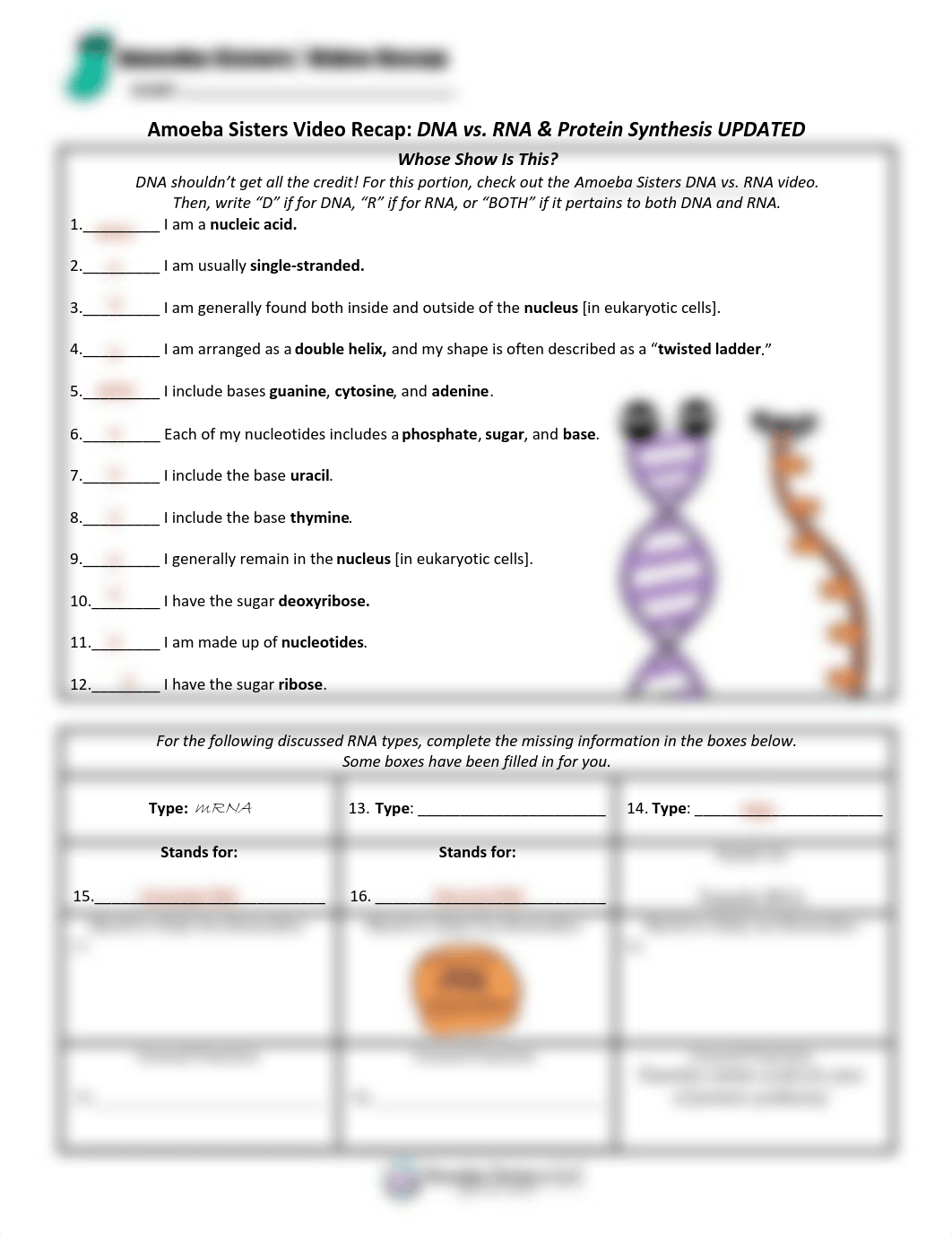 DNA vs RNA _protein synthesis_.pdf_drnh6keey8d_page1