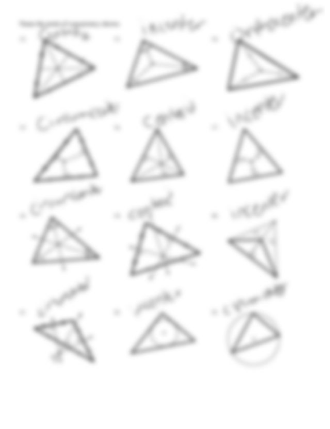 Circumcenter, Incenter, Centrod, Orthocenter worksheet -2  Copy.pdf_drnmaob1ivc_page2