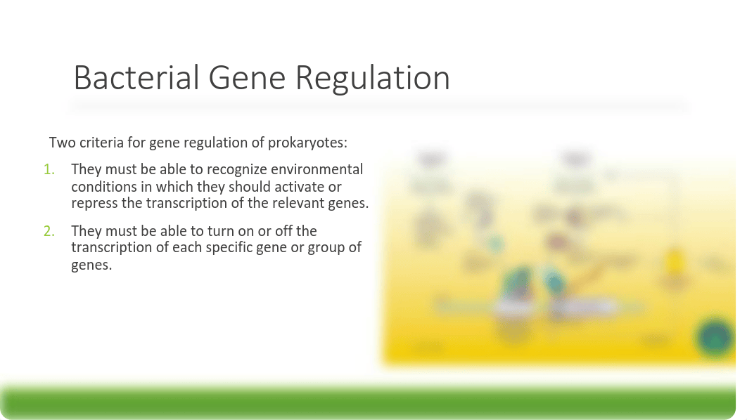 Chapter 11 - Prokaryote Gene Regulation.pdf_drnmtvpvxy5_page5