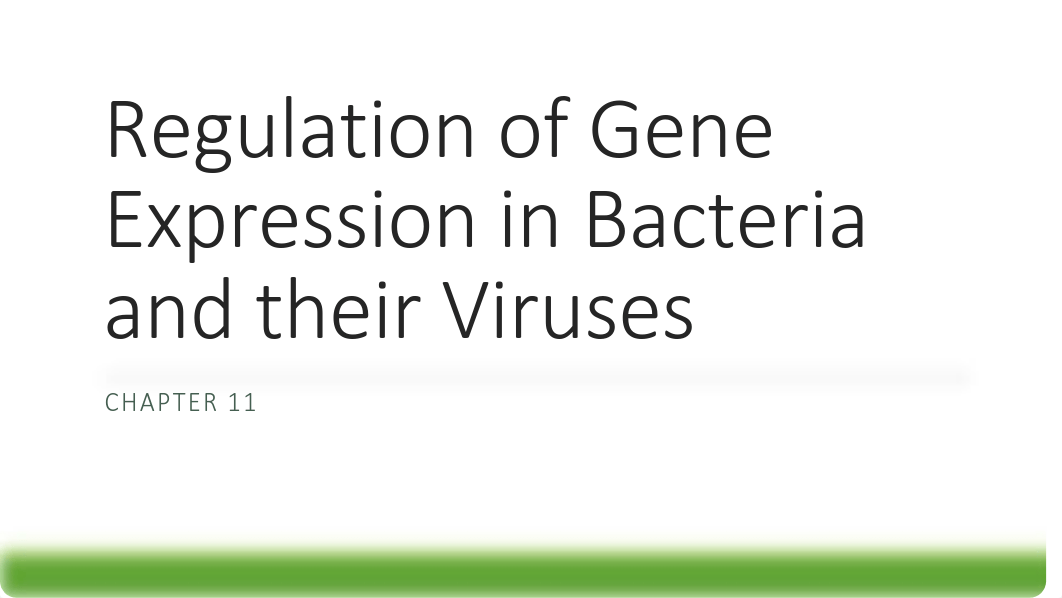 Chapter 11 - Prokaryote Gene Regulation.pdf_drnmtvpvxy5_page1