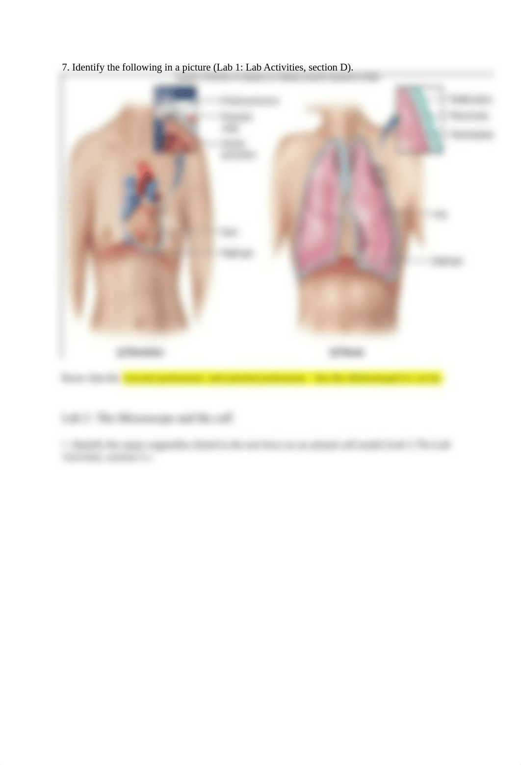 Bio 23 lab midterm study guide.docx_dro7s2zdbpb_page3